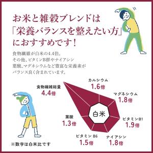 【特別価格 早い者勝ち!】 こめからだ もっち...の詳細画像2