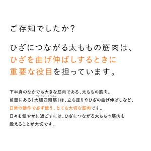 ＼レビュー投稿で1000円クーポンGET!/【...の詳細画像2