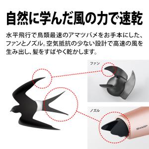 ＼レビュー投稿で1000円クーポンGET!/シ...の詳細画像3