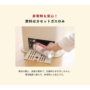 岩谷産業 【通販限定カラー】イワタニ iwat...の詳細画像4