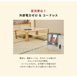 岩谷産業 【通販限定カラー】イワタニ iwat...の詳細画像5