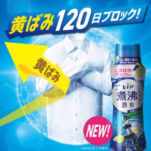 P&G ★[在庫限り特価]レノア 超消...の詳細画像2