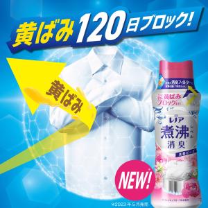 P&G ★[在庫限り特価]レノア 超消...の詳細画像2
