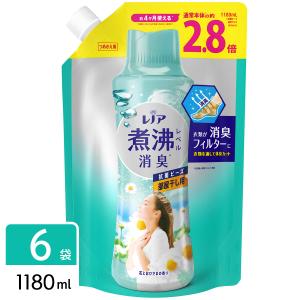 P&G レノア 超消臭 煮沸レベル消臭 抗菌ビーズ 部屋干し 花とおひさまの香り 詰め替え 超特大 1180ml×6袋 4987176179128｜hikaritv