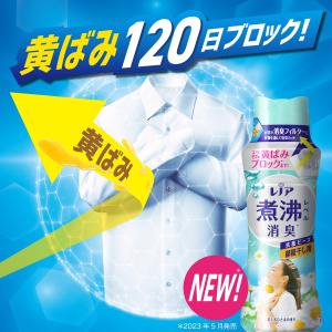 P&G ★[在庫限り特価]レノア 超消...の詳細画像2
