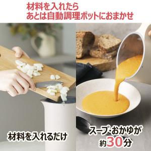 recolte(レコルト) 自動調理ポット ク...の詳細画像1