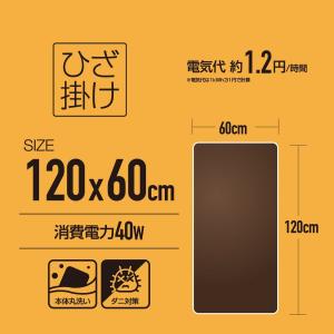 山善 洗える 電気ひざ掛け毛布 120×60c...の詳細画像2
