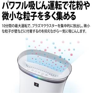 SHARP シャープ 空気清浄機 プラズマクラ...の詳細画像5