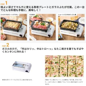 岩谷産業 【在庫限り】プロたこマルチ タコ焼き...の詳細画像1