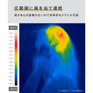 I-ne 【正規品】 サロニア スピーディーイ...の詳細画像4