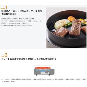 岩谷産業 【在庫限り】 イワタニ カセットガス...の詳細画像1