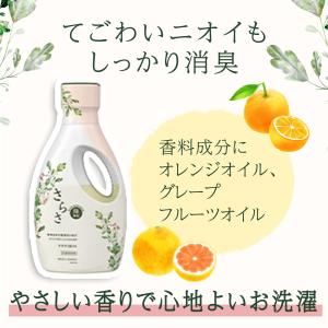 P&G さらさ 洗濯洗剤 液体 ほのか...の詳細画像3