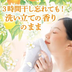 P&G ボールド 心弾けるシトラス&ヴ...の詳細画像3