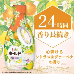 P&G ボールド 心弾けるシトラス&ヴ...の詳細画像4