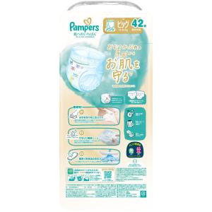 【選べるe-GIFT最大20%!】P&...の詳細画像1