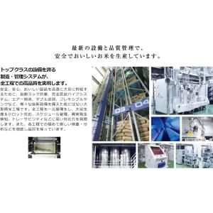 令和7年産 無洗米 青森県産 青天の霹靂 20...の詳細画像2
