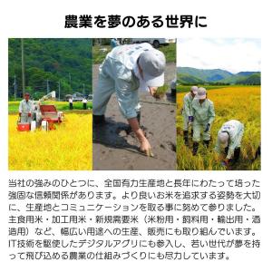 令和7年産 無洗米 北海道産 ななつぼし 30...の詳細画像2