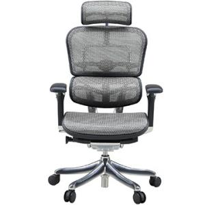 EHP-HAM ホワイト エルゴヒューマン ハイタイプ プロ