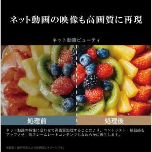 TVS REGZA REGZA(レグザ)50V...の詳細画像3