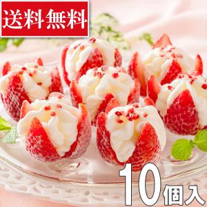 【冷凍】福岡 博多あまおう 花いちごのアイス 10個入 ギフト 贈答 スイーツ 母の日