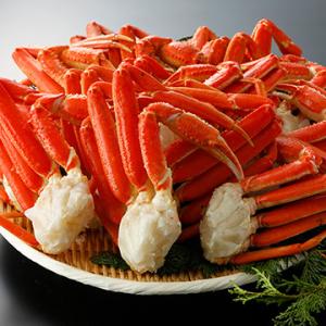 【冷凍】本ズワイガニ脚 カナダ産 ボイル 15~20肩 正味量3kg(1箱)