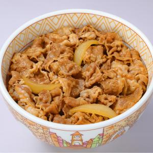 【冷凍】すき家 牛丼の具 120g×40袋 肉...の詳細画像2