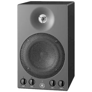 FOSTEX かんすぴ スピーカーシステム ハイレゾ対応 P802-S P802-S | Fostex(フォステクス)