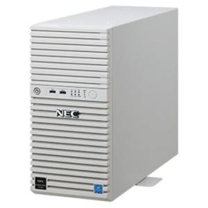 NEC T110k Xeon4C/8G/4TB*2/R1/W22 NP8100-2902YQ2Y｜hikaritv