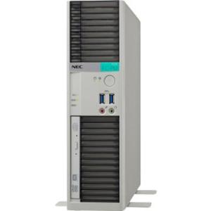 NEC P21G (8GB/HDD1TB x2/Win10 LTSC) FC-P32K-SA6C68