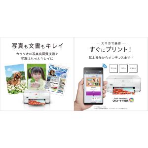 エプソン A4カラーIJ複合機/Colorio...の詳細画像1