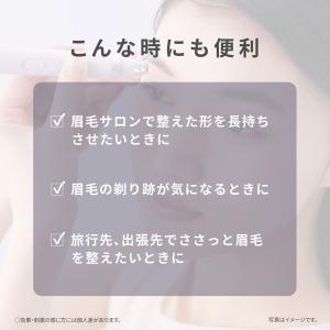 パナソニック(家電) アイブロウ スムースピッ...の詳細画像3