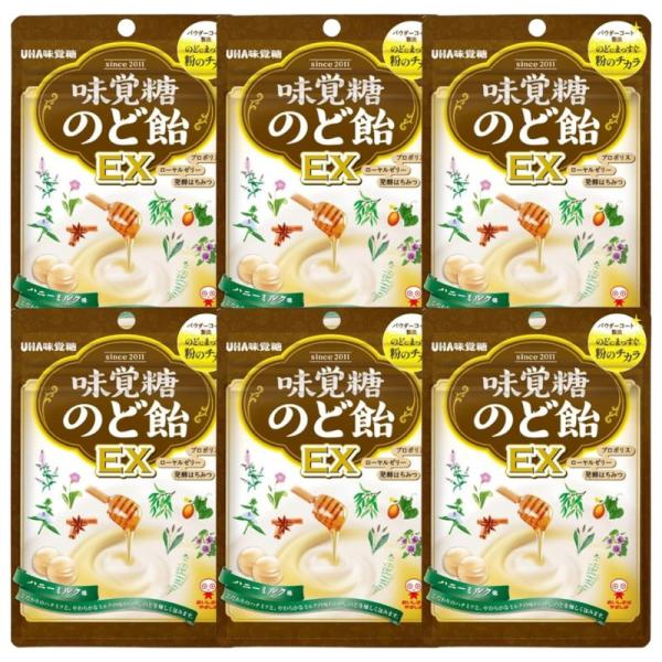 味覚糖 のど飴EX 90G×6袋