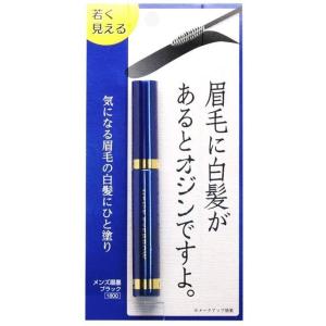 メンズ眉墨 ブラック ビナ薬粧 送料無料｜hikariyashop