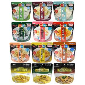 サタケ マジックライス マジックパスタ 12種類セット