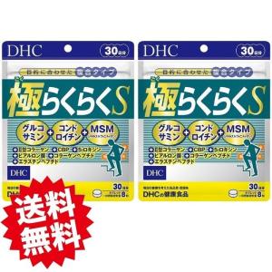 DHC 極らくらくS 30日分 240粒 2個セット 送料無料