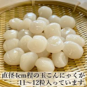 大玉 玉こんにゃく タレ付 7食入 群馬県産の詳細画像2