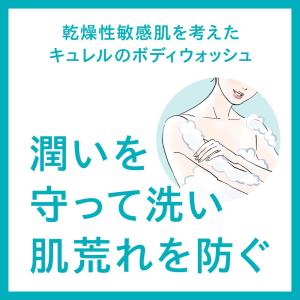 キュレル 泡ボディウォッシュ つめかえ用 38...の詳細画像3