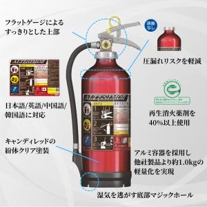 《12本まで最短当日発送》 2026年製 ME...の詳細画像1