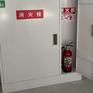 《12本まで最短当日発送》 2026年製 ME...の詳細画像5