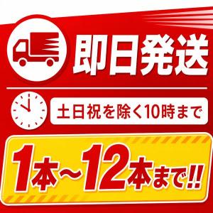 PEP-10N 初田製作所 消火器 10型 業...の詳細画像1