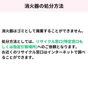 《12本まで最短当日発送》 PEP-10N 初...の詳細画像4