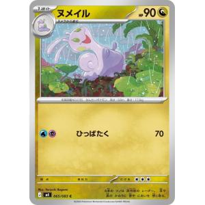 ヌメイル C 065/083 M4の商品画像