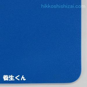 ブルベニ 厚さ3mm 900×1800mm 5枚セット 青ベニヤ プラベニヤ : 引越