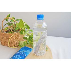 水道水が良質なミネラルウォーターに 浄水器 ポ...の詳細画像1