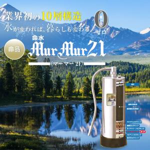 正規代理店 ウェル21 セントラル浄水器 浄水器 Well21 本体 : すこやか