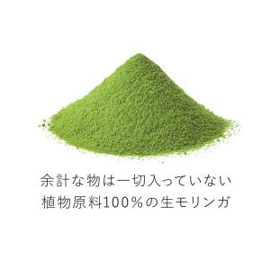 生モリンガ 粉末 パウダー 青汁2倍の栄養 ス...の詳細画像3