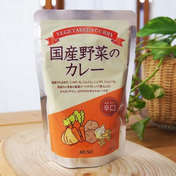 レトルトカレー 国産野菜のカレー 辛口 200g ムソー