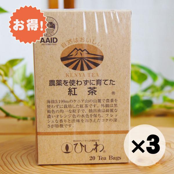 お得な３個セット 農薬を使わずに育てた紅茶 ティーバッグ 20パック 無農薬 菱和園 ひしわ