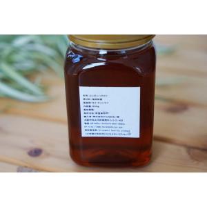お得な送料込み はちみつ 蜂蜜 500g 龍眼...の詳細画像1