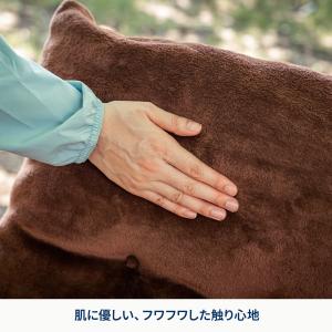 アウトドアチェア ハイランダー 難燃チェアカバ...の詳細画像3